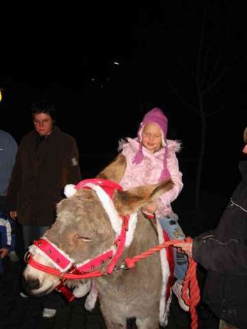 008-Nikolaus-Grillhuette-2006.JPG