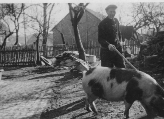 023-Otto Schneider mit Schwein-im-Garten.JPG