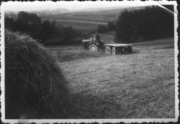 006-Landwirtschaft.jpg