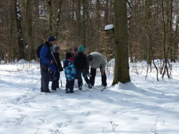 022-Nistkaesten-Reinigung-2013.JPG