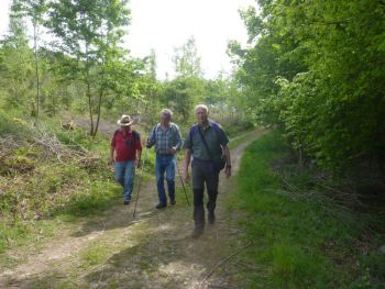 029-2016-Mai-Wanderung Druidestein-Ottoturm-Freusburg.jpg