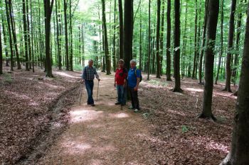 030-2016-Mai-Wanderung Druidestein-Ottoturm-Freusburg.jpg