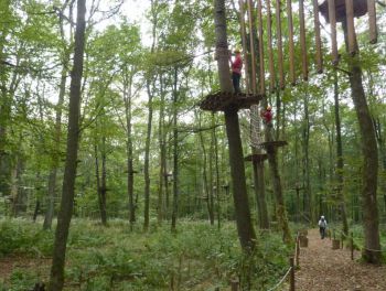 11-Kletterwald-a.jpg