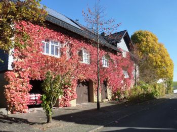 Haeuser-in-Hanwerth (4).jpg