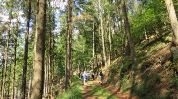010-2019-August-Nisterwanderung.jpg