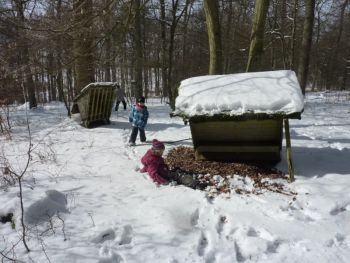 023-Nistkaesten-Reinigung-2013.JPG