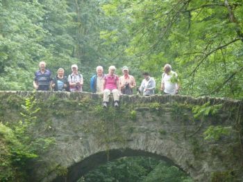 033-Nisterbruecke-Marienstatt.jpg
