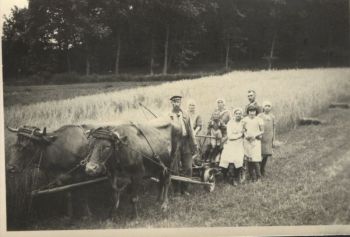 1938 Ernte-am-Hardenberg.jpg