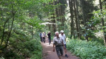 2019-Juni Wanderung__03.jpg