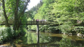 004-2019-August-Nisterwanderung.jpg