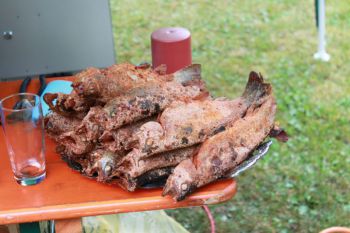 035-Hafenfest.jpg