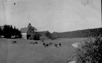 1941-Richtung-Hammermuehle-2.jpg