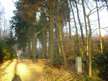 2008-Grenzstein-61-Salzstrasse-02.jpg