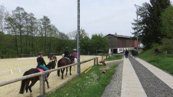 2018_05-Wanderung im Mai_03.jpg