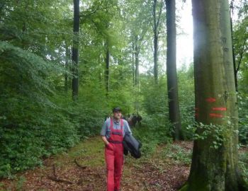 003-2011-Waldbegang.JPG