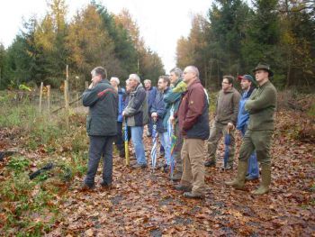 006-Waldbegang_Nov-2009.jpg