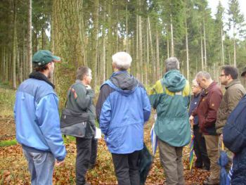 011-Waldbegang_Nov-2009.jpg