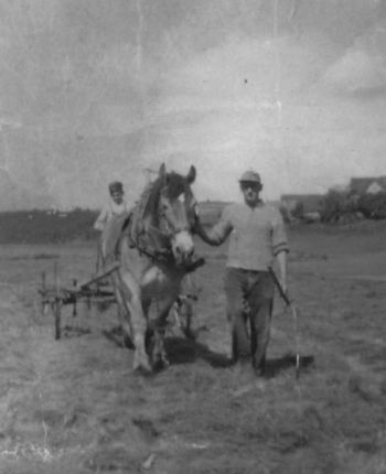 1952-Ackergaul.jpg