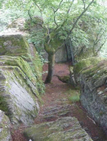 026-Burgen-Vroneck.jpg