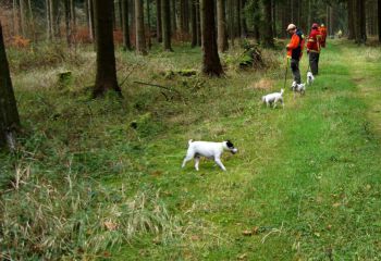 2014-11-Drueckjagd_01.jpg