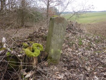 2016-Grenzstein-60-Hundsgalgen-03.jpg