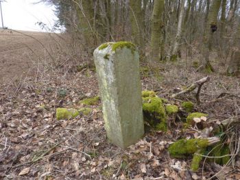 2016-Grenzstein-60-Hundsgalgen-06.jpg