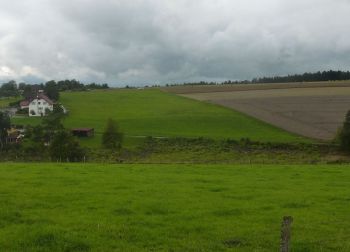 002-2011-Waldbegang.JPG