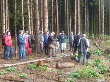 005-2011-Waldbegang.JPG