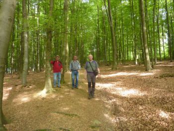 031-2016-Mai-Wanderung Druidestein-Ottoturm-Freusburg.jpg