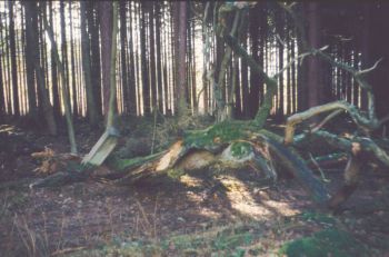 1980-Grenzstein-61-Hundsgalgen-03.jpg