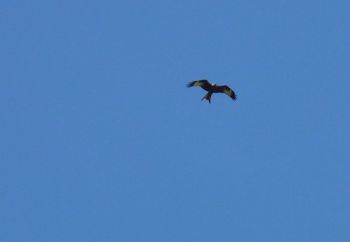 008-Wanderung-2013-April-Milan.jpg
