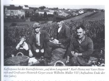 1949-Geyer-Kartoffelernte.jpg