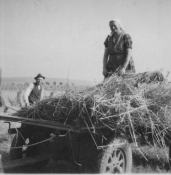 1960-Feldarbeit (1).jpg
