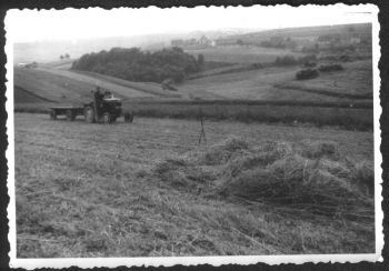 1960-Landwirtschaft-c.jpg