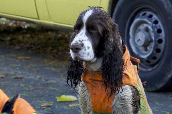 2014-11-Drueckjagd_21.jpg