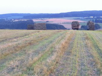 006-2012-Heuernte-Martin-Schaefer.JPG