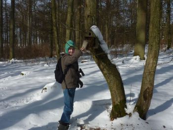 012-Nistkaesten-Reinigung-2013.JPG