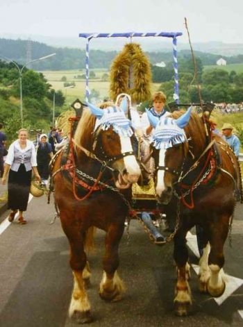 043-Festzug.JPG