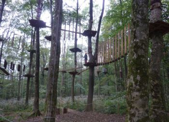 12-Kletterwald-b.jpg