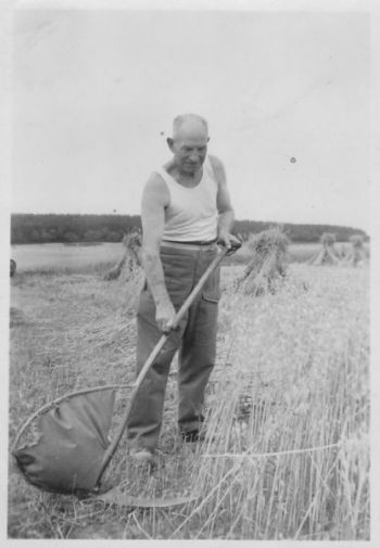 1955-Cornelius-wie in Gefangenschaft-1.Weltkrieg.jpg