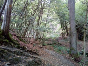 2018-09-Weltende-Kopf (11).jpg