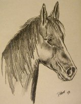 Mein Pferd Papier, Bleistift - Kohle, 1994