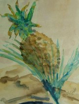 Ananas Papier, Aquarell, 29 x 36,  1997
